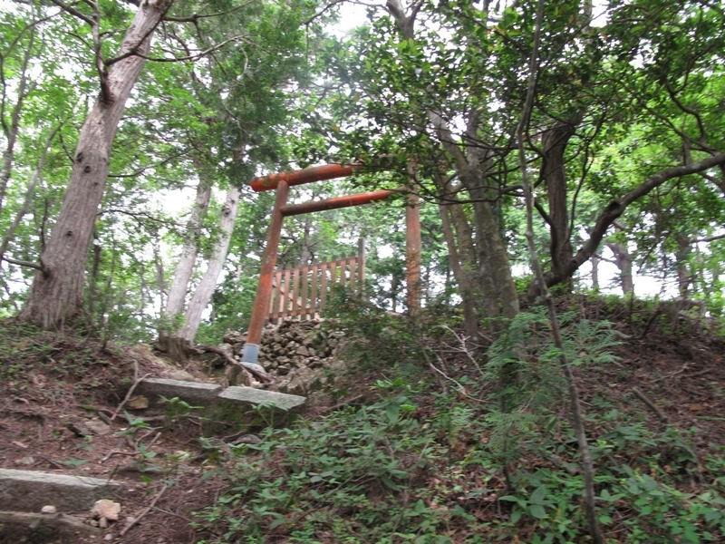 イメージ 1