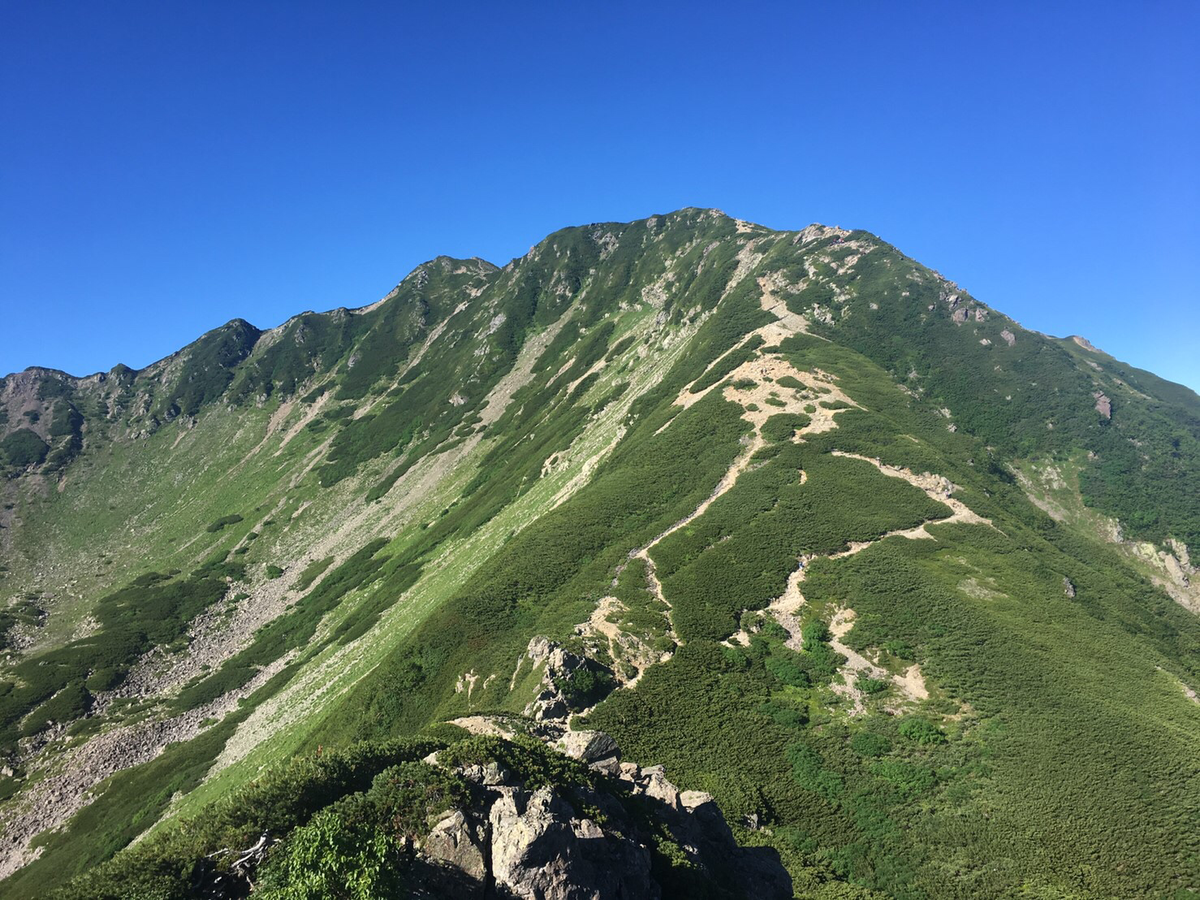 f:id:doshisha-sangaku:20190831024835p:plain