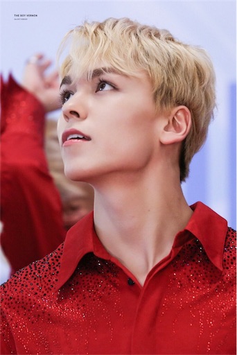 ハリウッド俳優 ハンソルバーノンチェ - 🍦韓国をアイスの実🍦