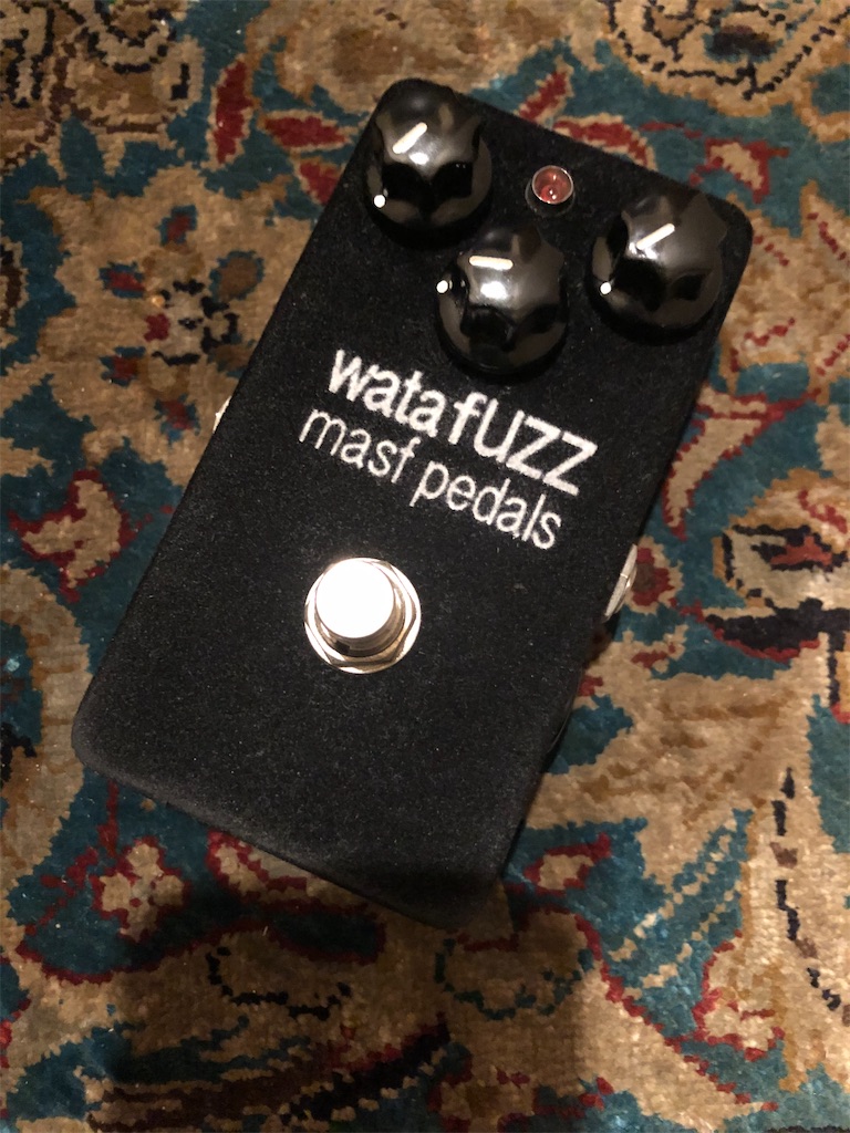 MASF watafuzz - FUZZ AROUND