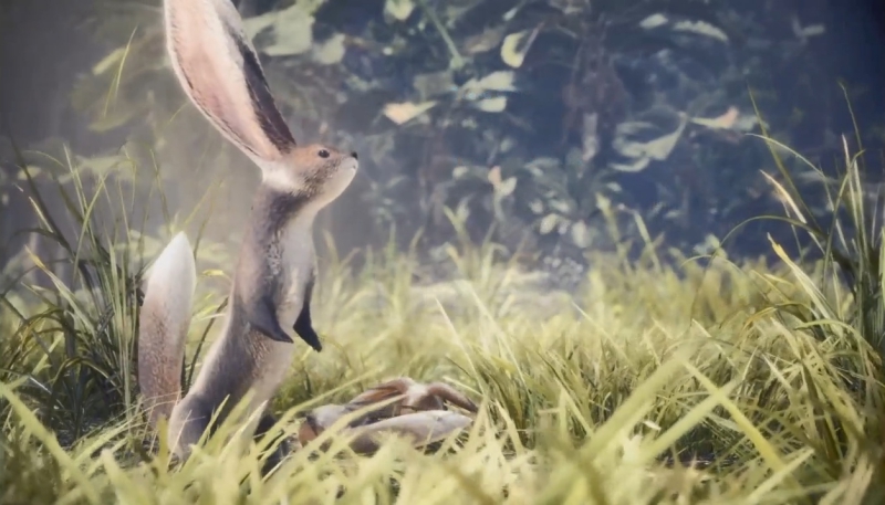 エンドロール中に流れるヨリミチウサギの映像の一部【モンスターハンター:ワールド】