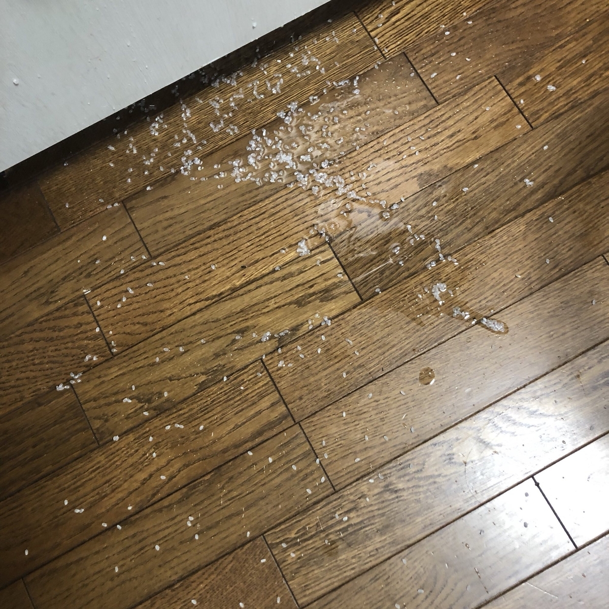 f:id:dotabatamama_945:20190611232706j:plain