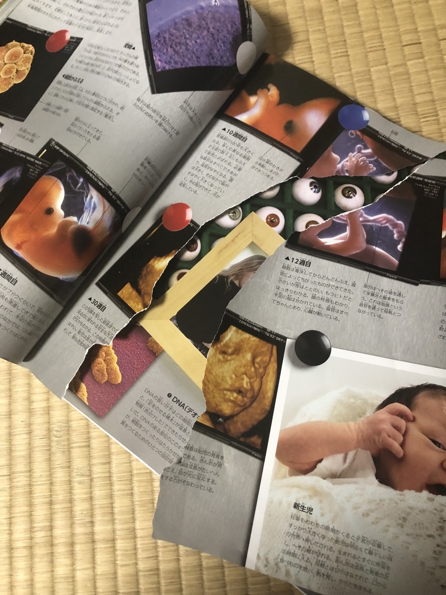 f:id:dotabatamama_945:20190626182133j:plain