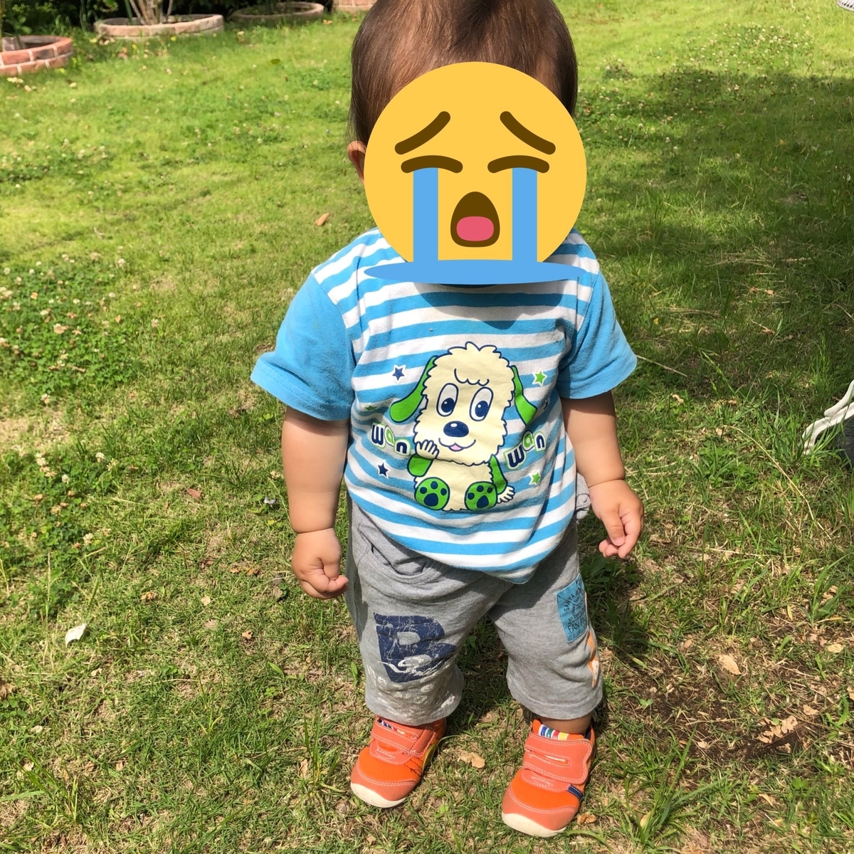 f:id:dotabatamama_945:20190704134934j:plain