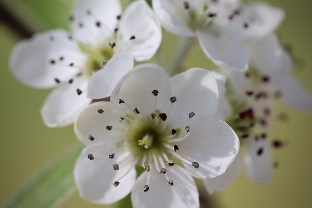 f:id:dotadotayocchan:20200411162539j:plain f:id:dotadotayocchan:20200411162539j:plain