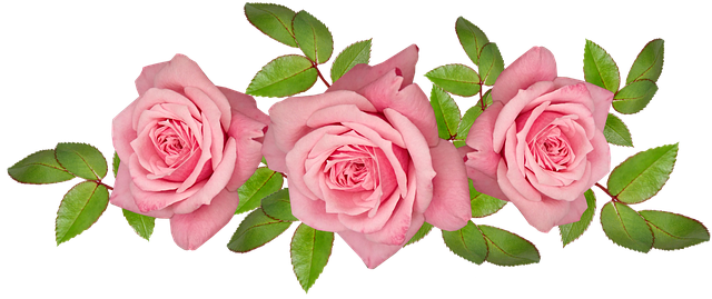 f:id:dotadotayocchan:20200411203018p:plain