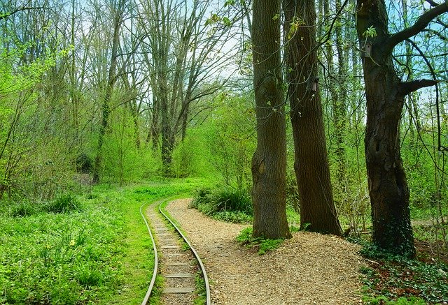 f:id:dotadotayocchan:20200424105748j:plain