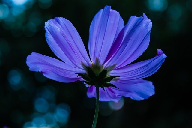 f:id:dotadotayocchan:20200824150428j:plain