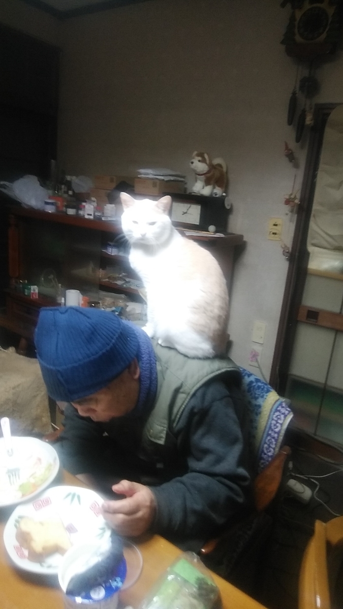 f:id:dotadotayocchan:20201024175938j:plain