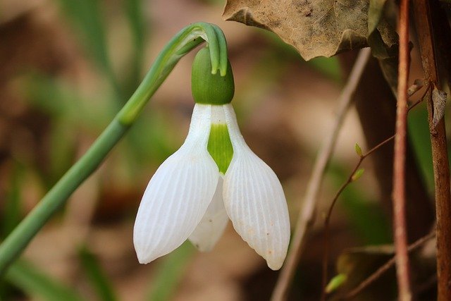 f:id:dotadotayocchan:20210320123742j:plain