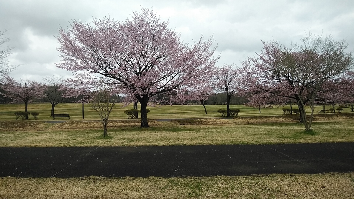 f:id:dotadotayocchan:20210427181543j:plain