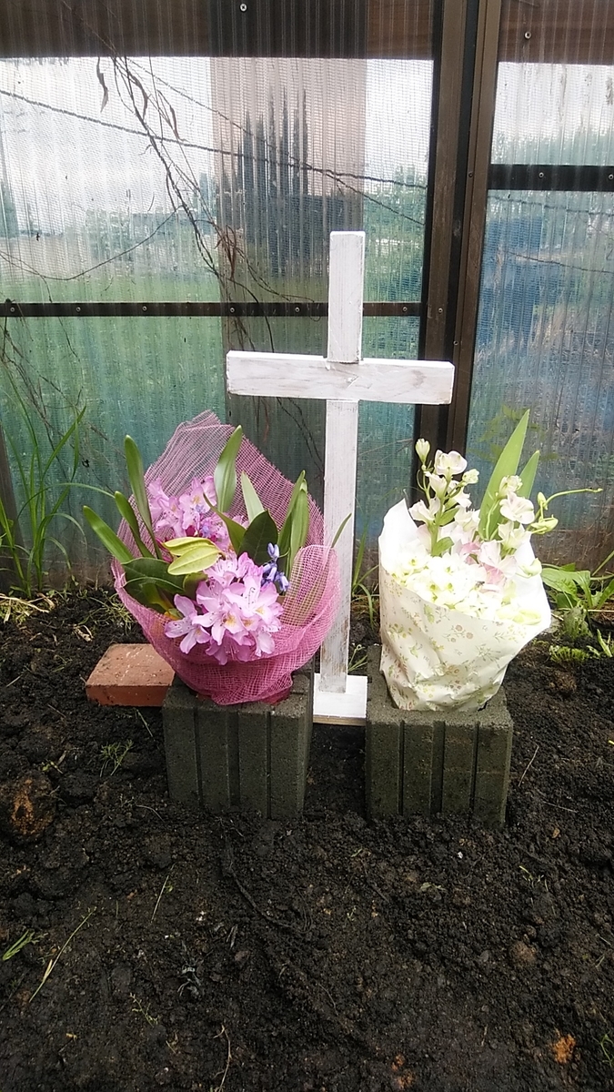 f:id:dotadotayocchan:20210608133737j:plain