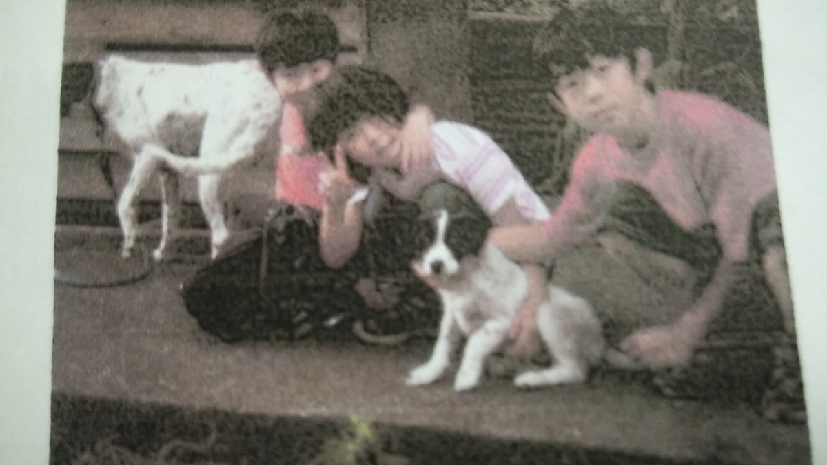 f:id:dotadotayocchan:20210610155022j:plain