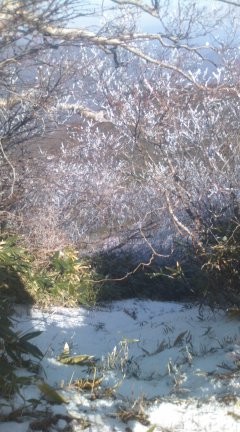 f:id:dotako:20121119200850j:image