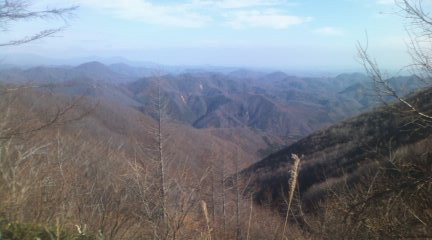 f:id:dotako:20121119200852j:image