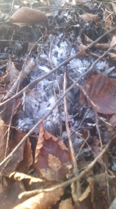 f:id:dotako:20121119200855j:image