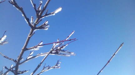 f:id:dotako:20121119200856j:image