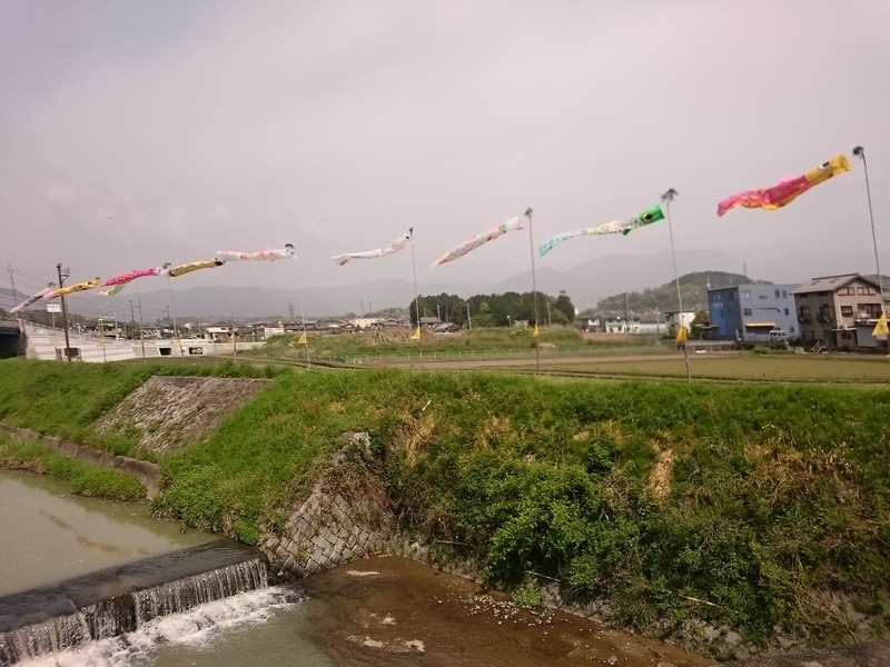 イメージ 8