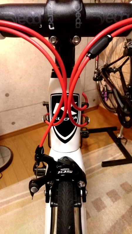 イメージ 6
