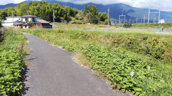 f:id:doterushi:20201015163816j:plain f:id:doterushi:20201015163816j:plain
