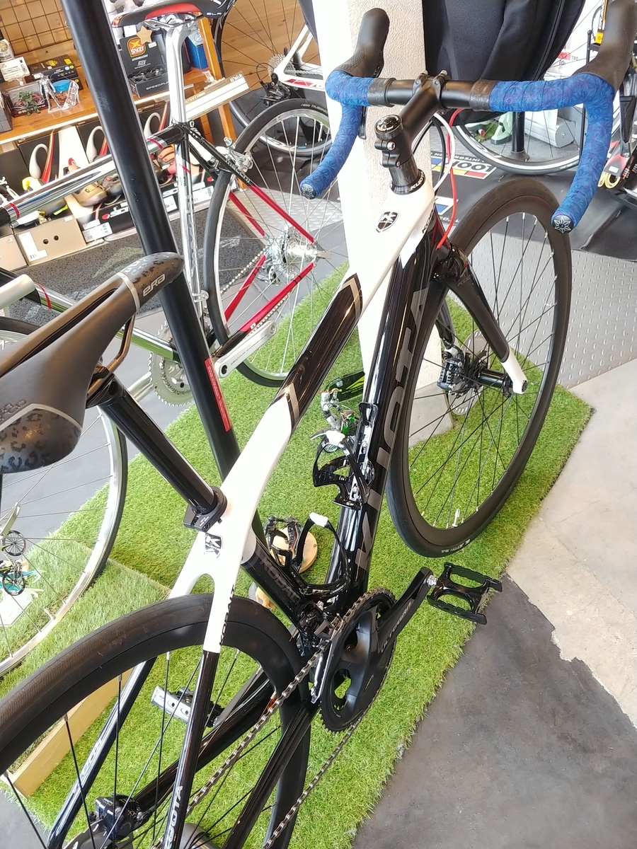 KUOTA KOBALT DISC - 自転車処どてるし