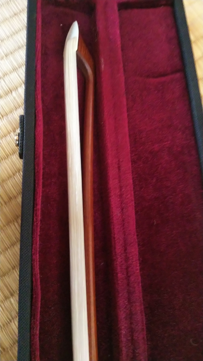 f:id:doterushi:20210619164047j:plain