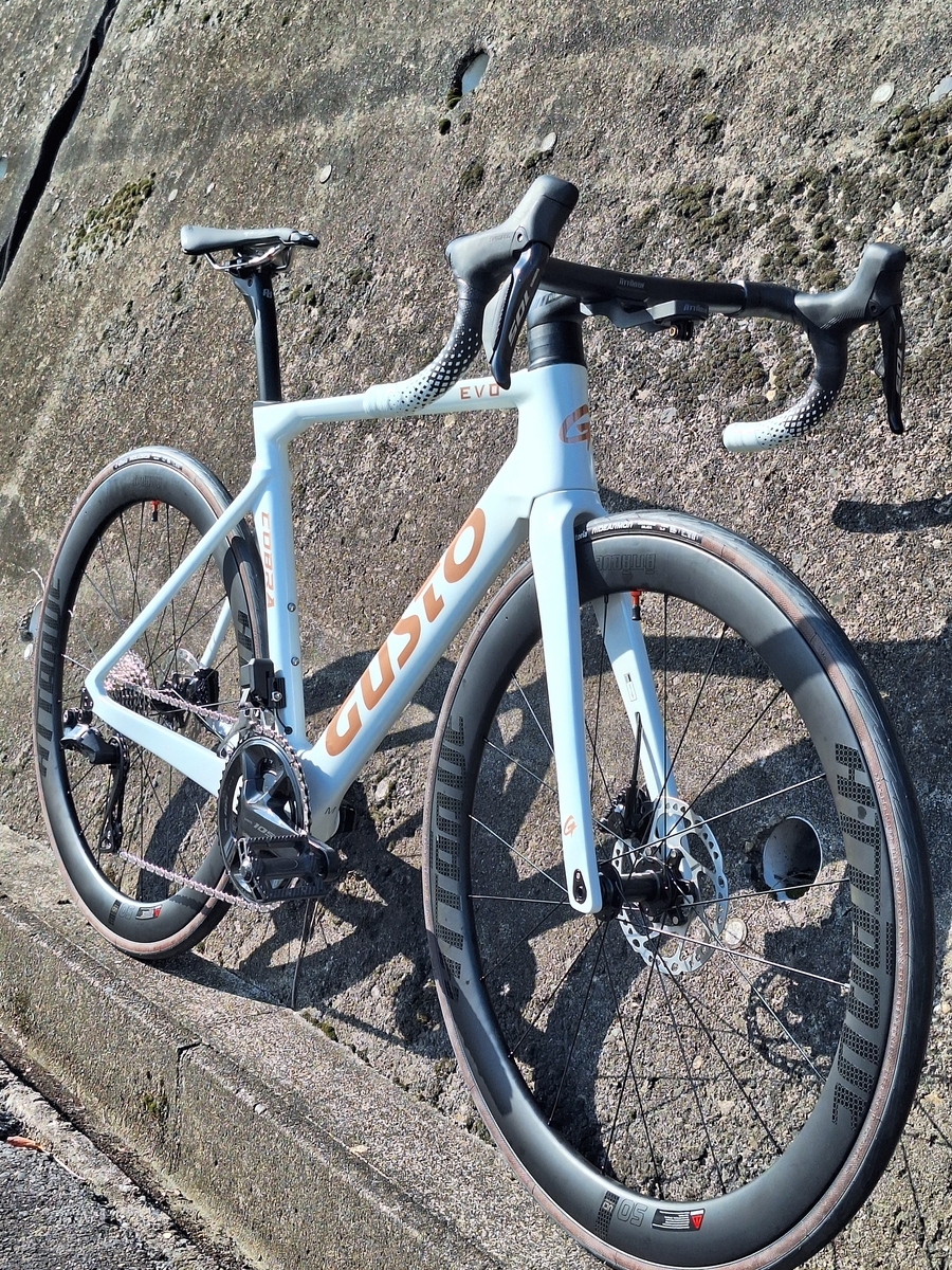 GUSTO COBRA EVO 試乗車あり〼 - 自転車処どてるし