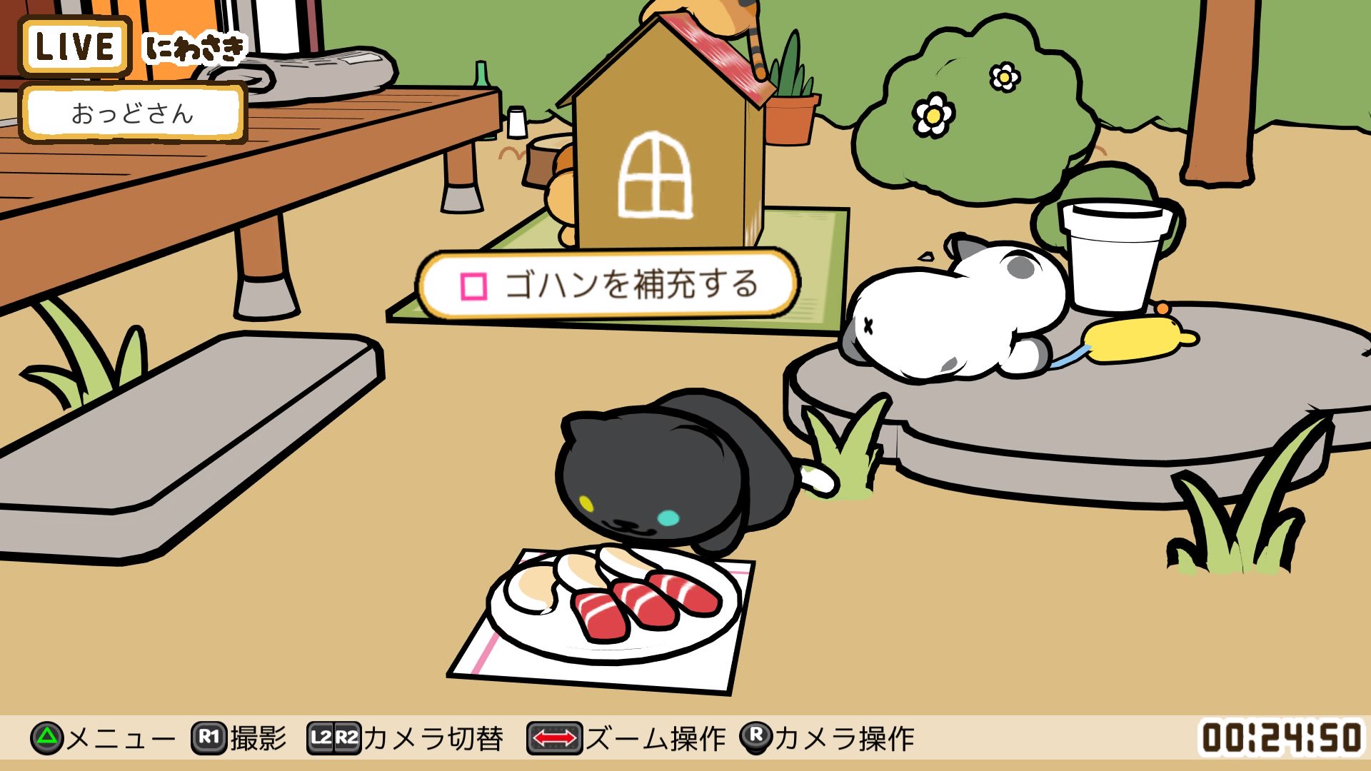 f:id:dotk3_ameta:20190104005737j:plain
