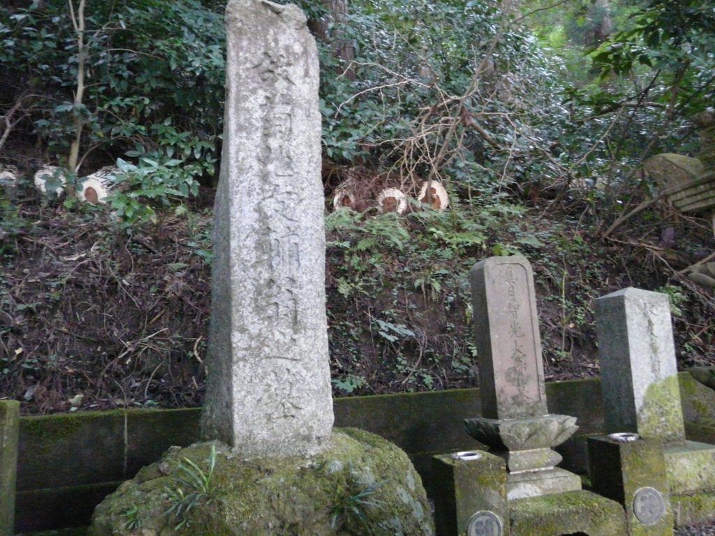 f:id:dotouttan:20180105071210j:plain