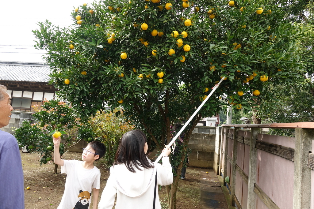 f:id:dotouttan:20181102205741j:plain f:id:dotouttan:20181102205741j:plain