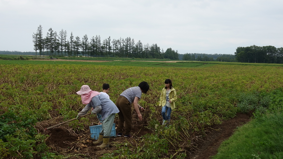 f:id:dotouttan:20190812210216j:plain