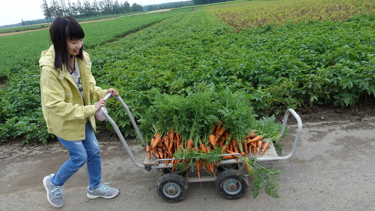 f:id:dotouttan:20190812210335j:plain