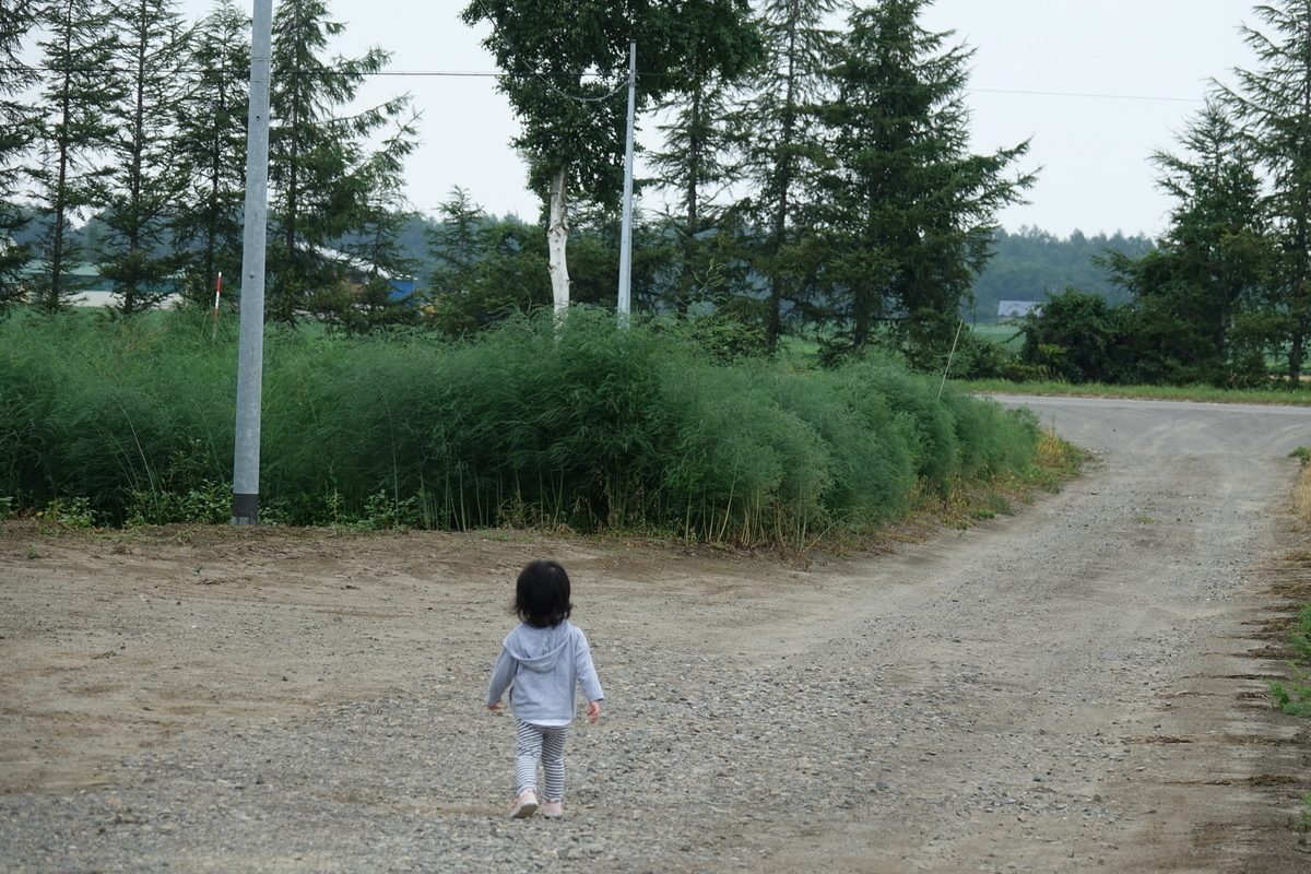 f:id:dotouttan:20190812210652j:plain