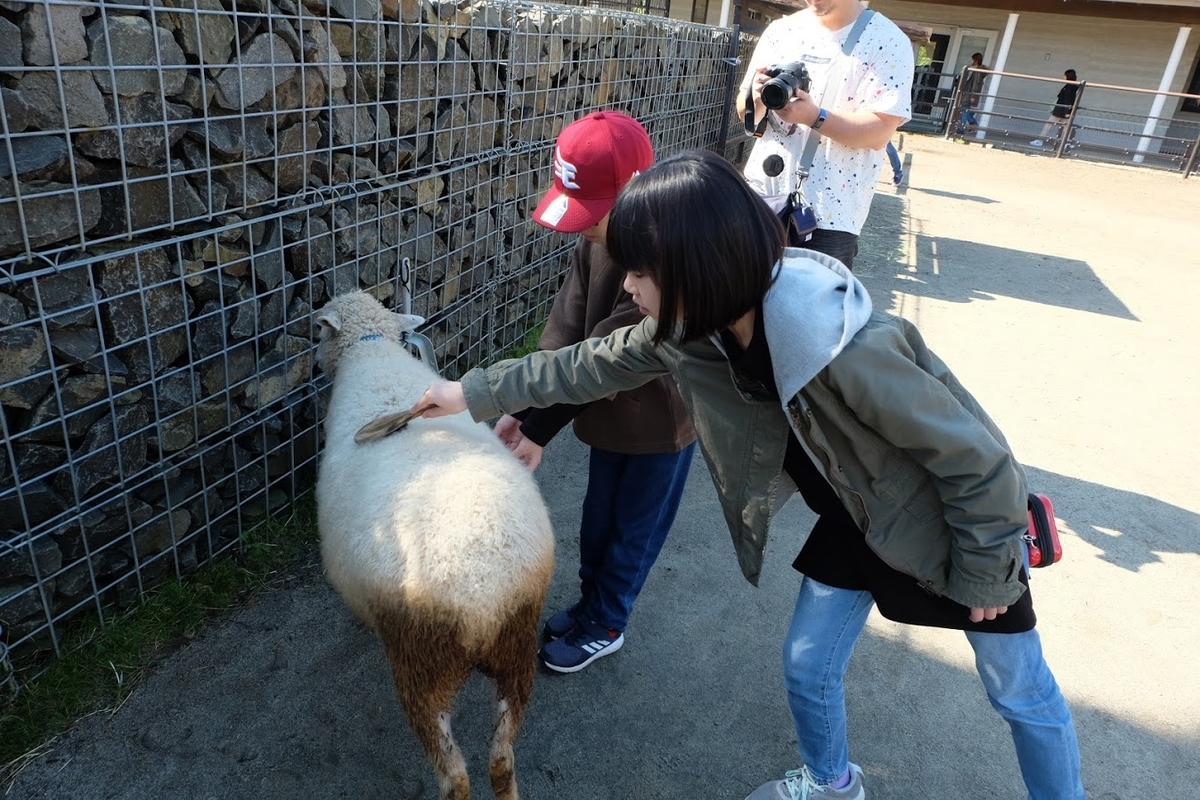 f:id:dotouttan:20191017210026j:plain f:id:dotouttan:20191017210026j:plain