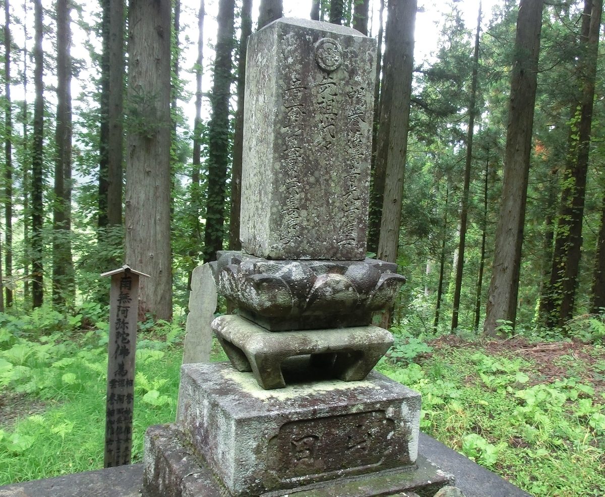 f:id:dotouttan:20210901061431j:plain