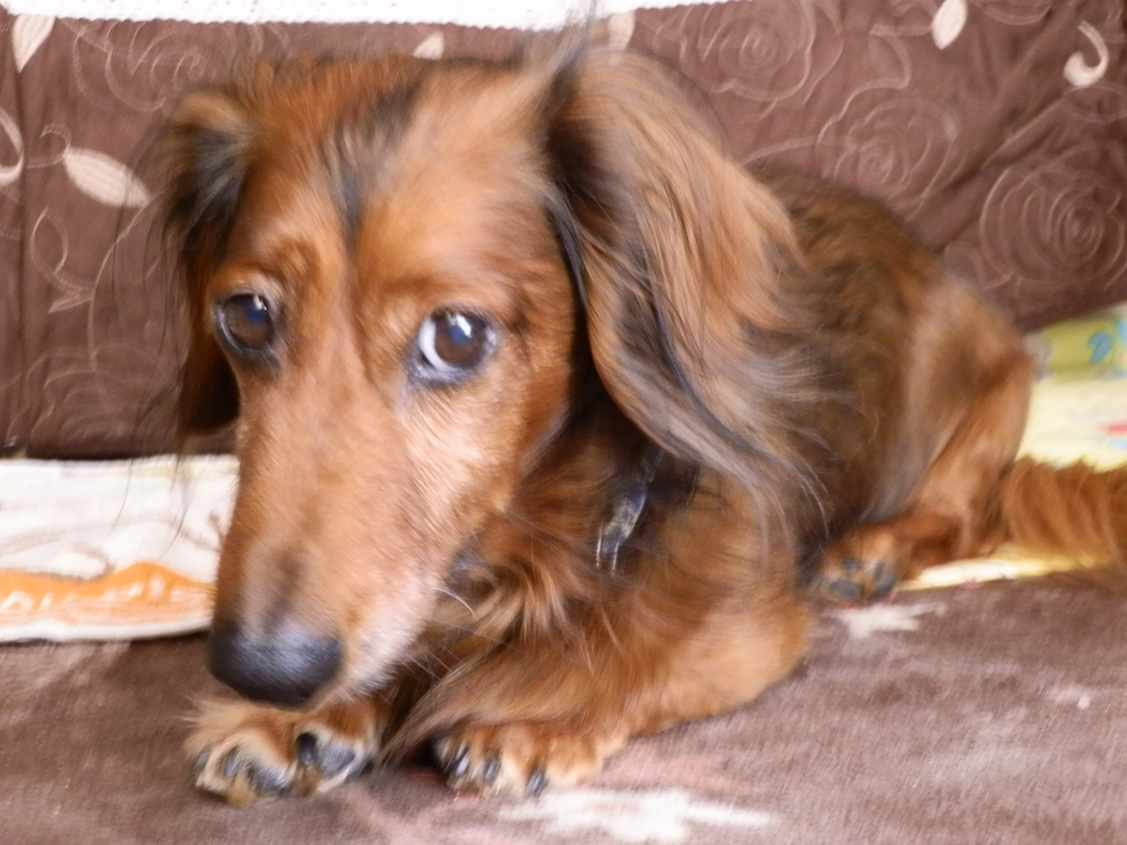 f:id:dottimo_kottimo:20150510114114j:plain f:id:dottimo_kottimo:20150510114114j:plain
