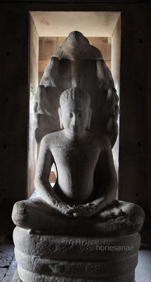 2016/08/02 blog photo by horesanae 2016/08/02 blog photo by horesanae