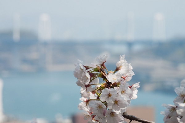 f:id:double-h:20090406125525j:image