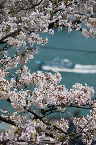 f:id:double-h:20090406130901j:image