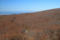 20091025115916