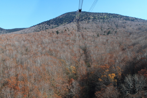 20091025120031