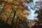 20091025151720