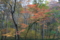 20091025155054