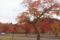 20091026093830