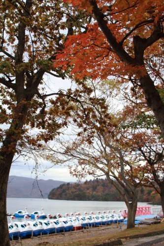 20091026102038