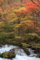 20091026113242