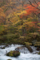20091026114438