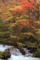 20091026114542