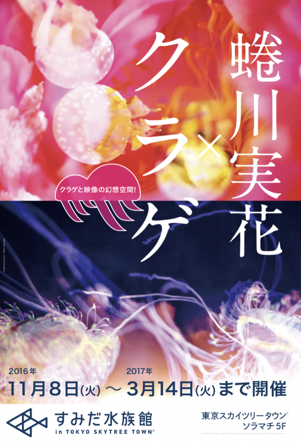 f:id:doublebooker:20161227072141p:plain