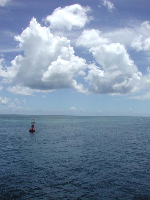 f:id:doublet:20020812131144j:image